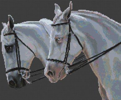 (image for) Shades of White